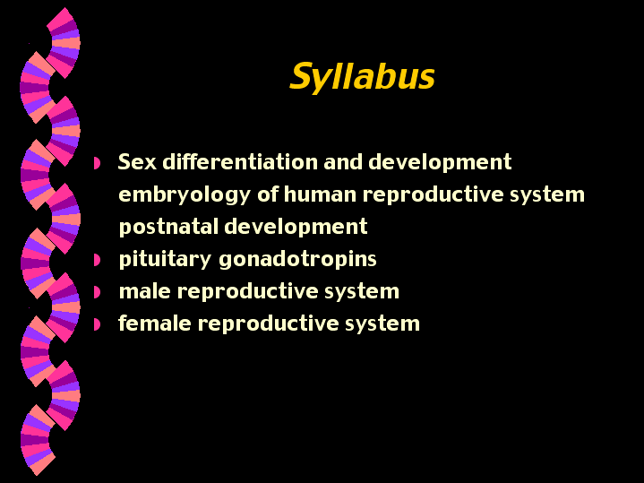 Syllabus