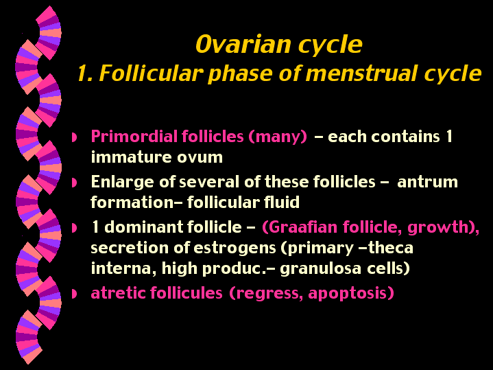 download molecular orbitals and